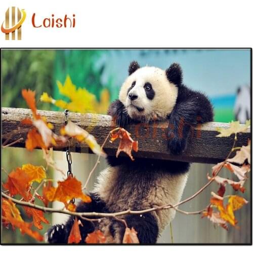 HJHUAN Climbing And Mountaineering Products