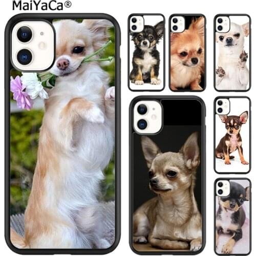 MaiYaCa Animal chihuahua Phone Case Cover For 5s SE 6s 7 8 plus X XR XS 11 12 pro max Samsung Galaxy S8 S9 S10 shell