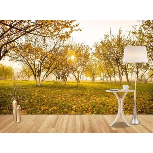 CJSIR Custom Wallpaper Beautiful Natural Fresh Forest Sunshine TV Background Wall Living Room Bedroom Murals 3d Wallpaper