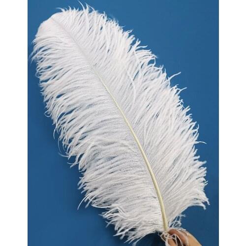 Beautiful White Ostrich Feather 55-60CM 22-24Inch Dancers Carnival Wedding Celebration Christmas Plumes Plumas De Faisan