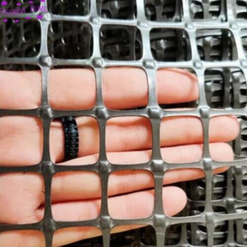 Square mesh black plastic mesh Plastic purse seine for raising chickens and ducks Land fence Cage drain net