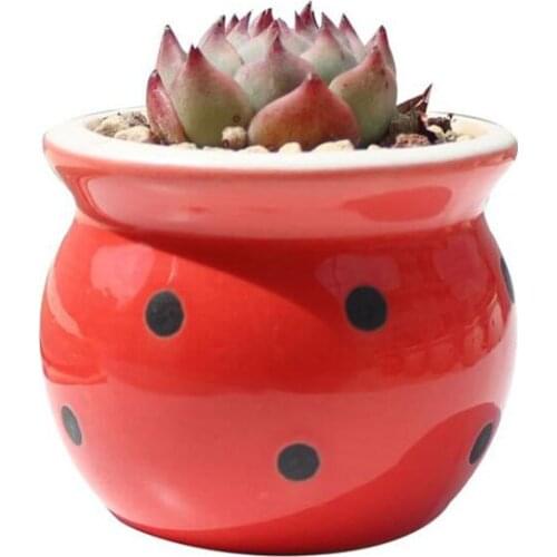 Maceta Flowerpot Desktop Ornaments Indoor Garden Balcony Decor Ceramic Candy Dot Thumb Flowerpot Succulent Plant Pot