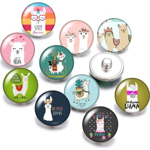 No prob llama no drama llama Alpaca 18mm snap buttons 10pcs mixed round photo glass cabochon style for snap button jewelry