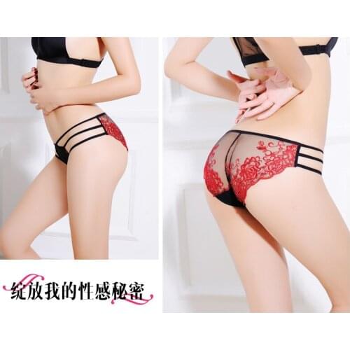 Wholesale supply sexy transparent heavy embroidery womens buttock mesh underwear 6598