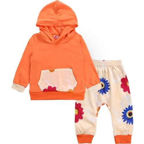 Baby Clothing Set Spring Autumn New Long-Sleeved Printed Pocket Hoodie + Flower Casual Pants 2 Pcs 0-2 Years Baby Clothing
