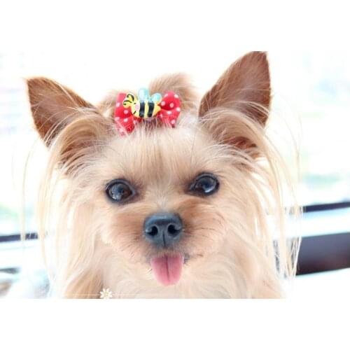 Pet tiara teddy Yorkshire Maltese bow tiara rubber band tiara Pet Cats Grooming Accessories