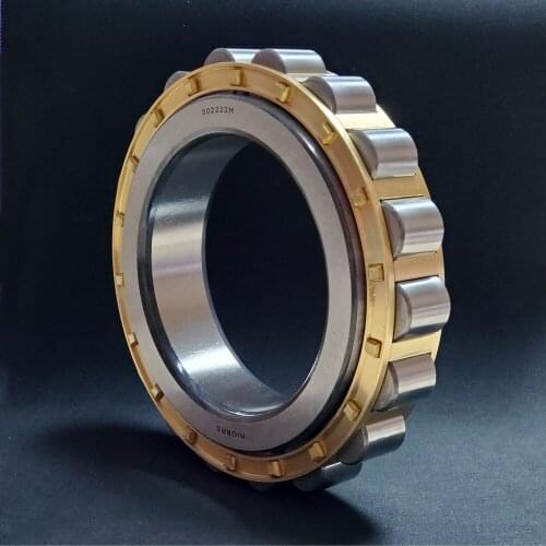502222H Cylindrical Roller Bearing 110x178.5x38mm RN222M Roller Bearings For BWD|XWD Cycloidal Pin Gear Speed Reducer RIGBRS