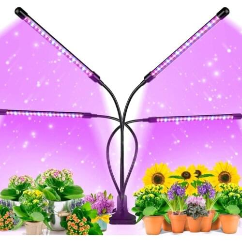 Indoor LED Grow Table Green Plants Succulent Seeds Flower House Red Blue Color Adjustable Dimmable Full Spectrum Jardin Blossom