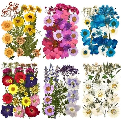 Dried Flowers DIY UV Resin Fillers Natural Flower Stickers Dry Beauty Decal For Nail Art Epoxy Resin Filling Jewelry Decoration