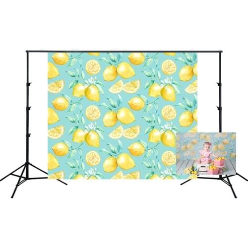 Photography Backdrop Lemon Step And Repeat Pattern Background Bunting Wallpaper Decoration Girl Baby Kids Photo Studio Backdrop