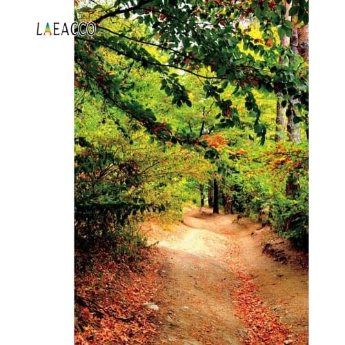 Laeacco Green Screen Fairytale Forest Trees Scene Road Photography Background Customize Photographic Backdrop For Photo Studio