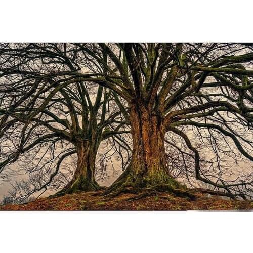 YI BRIGHT Square Round Drill 5D Diamond Painting Environmental Crafts Full Diamond Embroidery "Landscape tree" Home decor