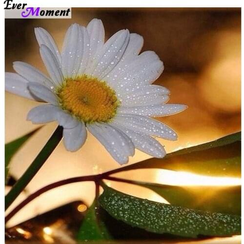 Diamond Embroidery Factory Wholesale Diamond Painting Flowers Cross Stitch Home Decor Rhinestone Mosaic Needlework ASF094