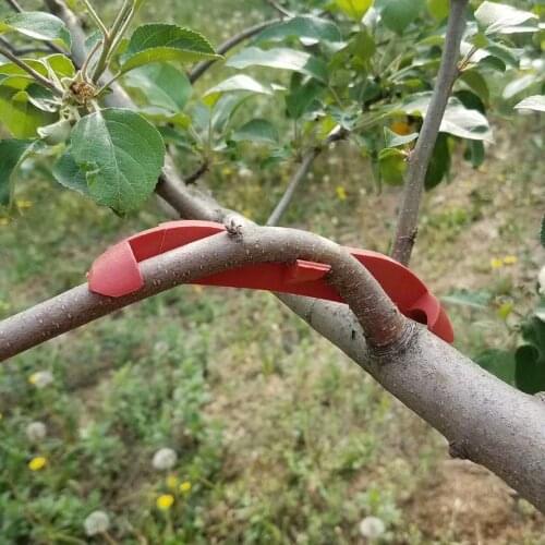 100PCS Plastic Fruit Tree Branch Bender Garden Tool Tree Branch Fixing Device Plant Modulator Trunk Adjuster Bonsai Tools