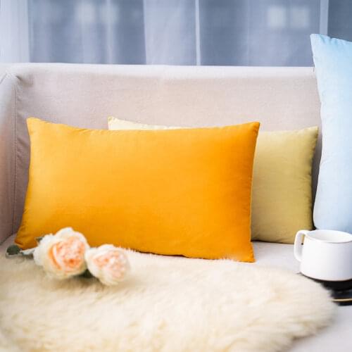 Super Soft 30x50 Sofa Cushion Include Padding Throw Velvet Pillow For Living Room Car Bed Decoration 1pc Without Filling