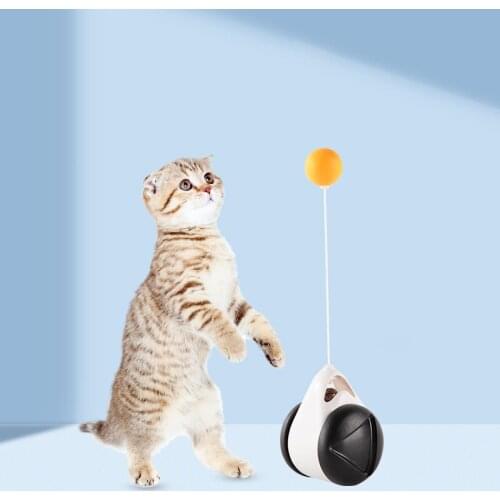 Non-Electric Toys For Cats Catnip Tumbler Kitten Interactive Balance Cat Pet Interactive Toy With Catnip Funny Pet Products