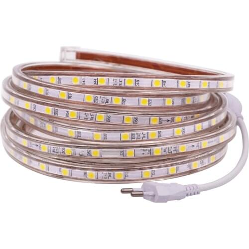 LED Strip Light SMD 5050 60Leds/m Flexible LED Ribbon Tape AC 220V 110V Outdoor Waterproof Rope Light White Warm Blue Green Red