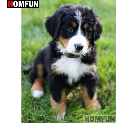 HOMFUN Full Square/Round Drill 5D DIY Diamond Painting "Dog animal pet" Embroidery Cross Stitch 3D Home Decor A30065