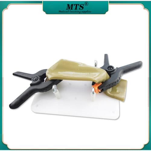 Intestinal Suture Training Model Intestinal Suture Model Bracket Clip Laparoscopic Surgery Training Medical Practice Aids