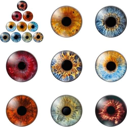 Dolls Eyes for Children Toy Dinosaur Animal Eye 12mm/20mm/25mm/30mm Round Photo Glass Cabochon Demo Flat Back Making Findings