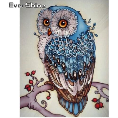 EverShine Diamond Painting Cross Stitch Animals Full Square Diamond Embroidery Owl Picture Rhinestones Diamond Mosaic Decoration
