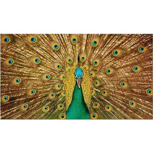 1 Panel Free Shipping Canvas Painting Peacock Wall Pictures Decoration Home Decor Oil Paintings for Living Room Modern Framed