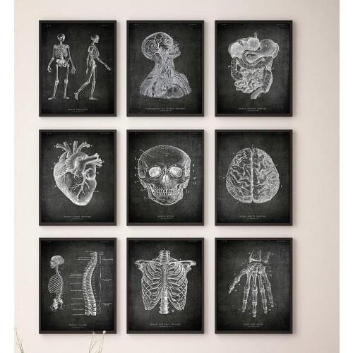 Human Anatomy Art Wall Picture Skeleton Organ Cardiovascular System Vintage Canvas Print Body Education Poster Medical Clinic