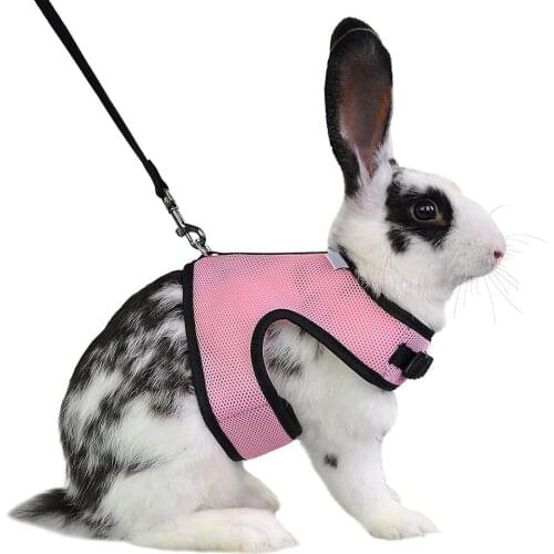 4 Colors Hamster Rabbit Pet Harness with Lead Set Ferret Guinea Pig Small Animal Pet Walk Lead Leash Bunny Little Pets Supplies