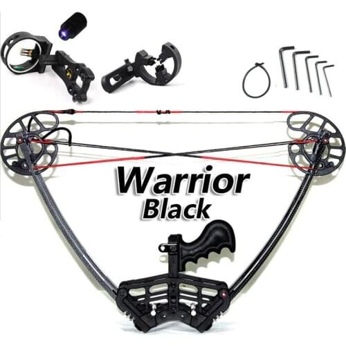 Junxing Black Warrior Compound Bow Set hunting Camouflage and Black Triangle Hunting Arrow Set And Archery Set