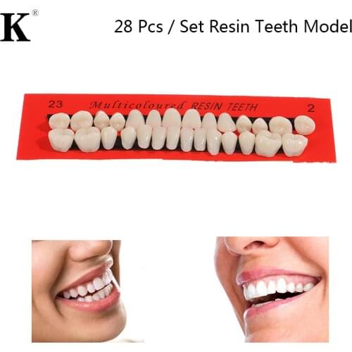 28Pcs/Set Universal Resi False Teeth Resin Teeth Model Durable Dentures Dental Material Teeth Teaching Model Dedicated Teeth