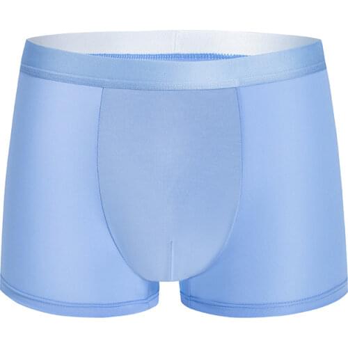 NURRASA Men's Transparent Briefs