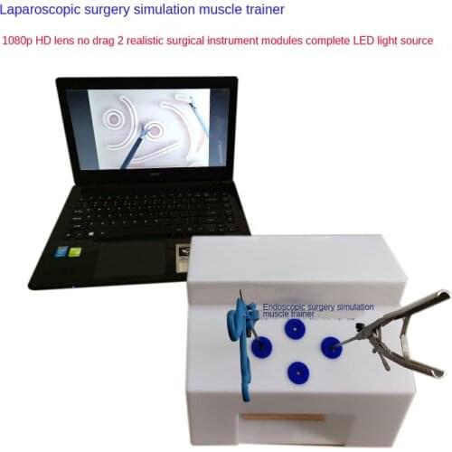 Laparoscopy simulator