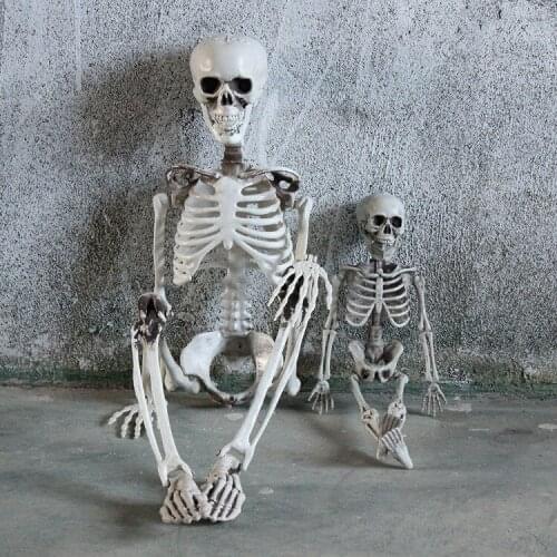 Halloween Horror Decoration! Human Skeleton Wall decoration, corner decoration, festival party props
