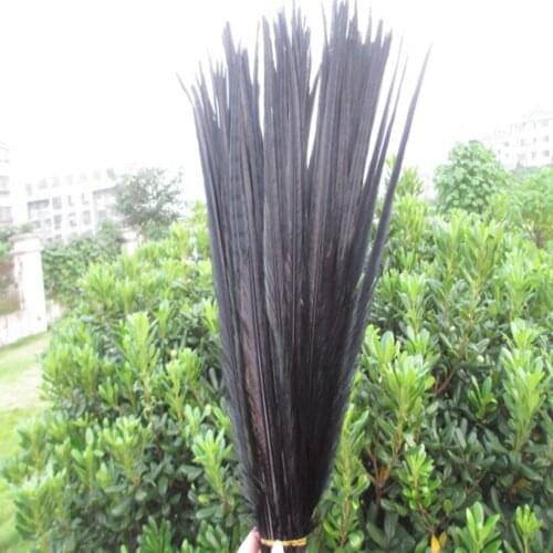 Wholesale 100 pcs beautiful black Pheasant Feather 20-22 inches 50-55 cm free shipping