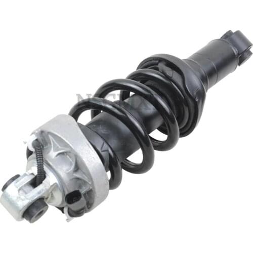 AP01 Air Shock Absorber Shock Front Left or Right for AUDI R8 D 2007-2012 420412019AG 4.2L 5.2L