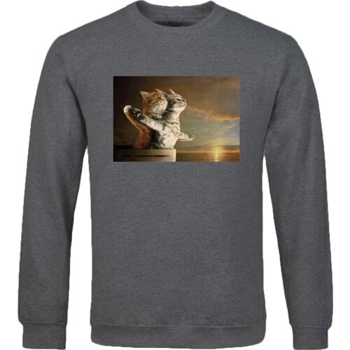 2020 spring autumn Harajuku hoodies Titanic Funny Cat handsome tracksuit Vintage Print hip hop Long Sleeve Streetwear Sweatshirt