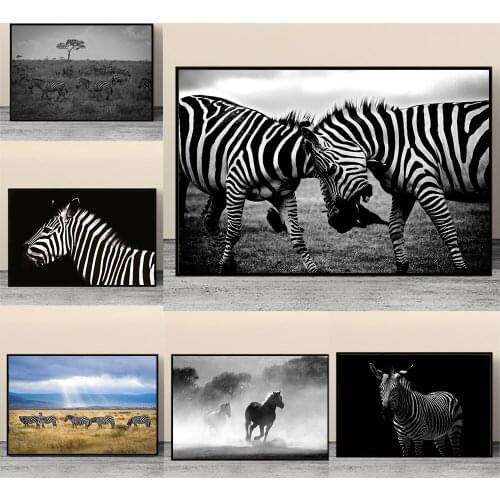 Zebras In The African Savannah Horse Steed Photos Decorative Arts Canvas Paintings Wall Art Pictures For Living Room Home Decor