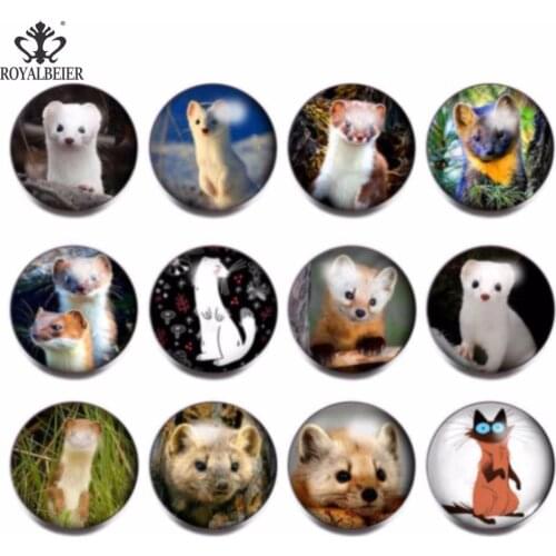 RoyalBeier 12pcs/lot Cute Weasel Theme Glass Charms 18mm Snap Button Jewelry For 20mm Snaps Bracelet Snap Jewelry KZ0811