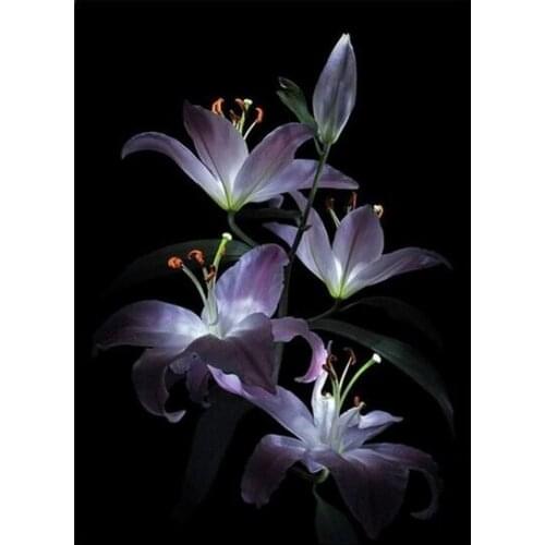 Night is lily 3D DIY diamond painting cross stitch Needlework diamond mosaic home decor crafts gift lowest 5 dollars