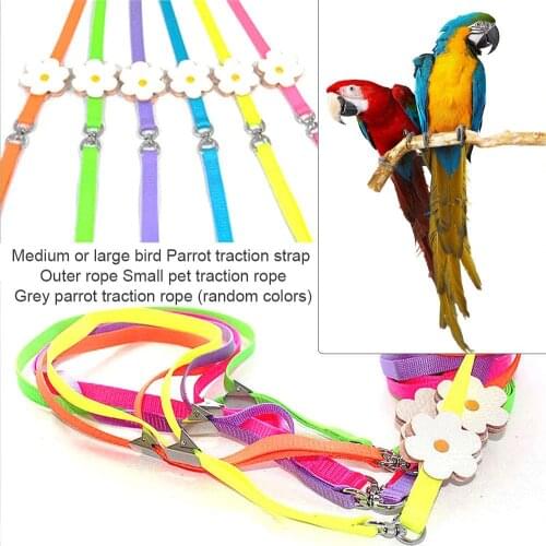 Colorful Parrot Bird Leash Outdoor Adjustable Harness Training Rope Anti-chew Bite Nylon Webbing Strap For Bird Small Pets