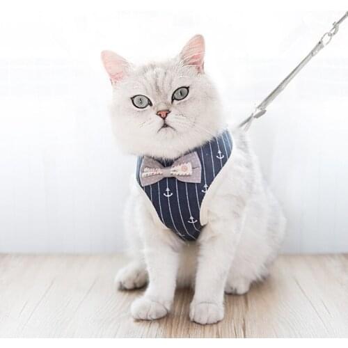 All Season Dog Cat Harness Leash Set Pet Cat Vest Harness With Bowknot Mesh Padded For Cats Small Puppy Dogs Chihuahua Yorkies