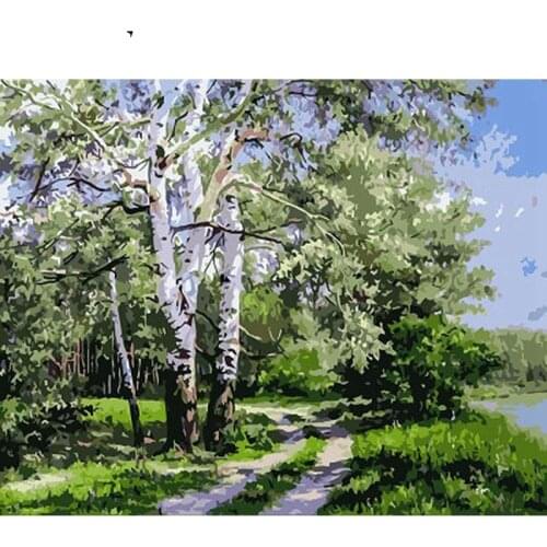 White Birch Paint By Numbers Coloring Hand Painted Home Decor Kits Drawing Canvas DIY Oil Painting Pictures By Numbers