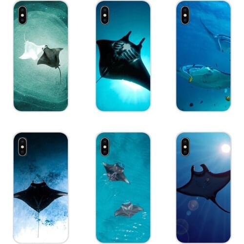 Animal manta ray Accessories Phone Cases Covers For Apple iPhone X XR XS 11 12Pro MAX 4S 5S 5C SE 2020 6S 7 8 Plus ipod 5 6