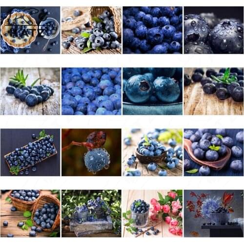 Diamond Painting Art Handmade Diy Home Decoration Modern Fruit Blueberry Flower Fashion Diamond Embroidery and Jewelry Cross