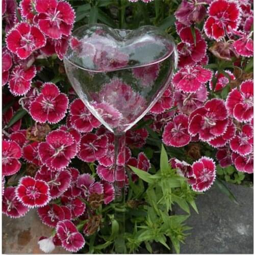 Self Watering Plant Waterer Glass Plant Flowers Transparent Creative Water Feeders