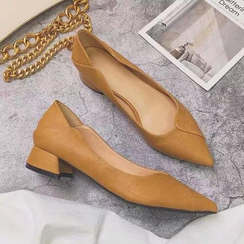 2021 Spring and Summer Shallow Mouth Pointed Toe Ladies Medium Thick Heel Single Shoes Net Red Two-wear Ladies High Heels