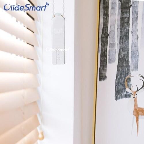 Olide Electric Smart Blind Drive Motor For your Smart Home Power Supply by Solar Panel+Electricity