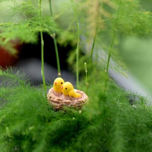 10 pcs/mini nest with bird/miniatures/lovely cute/fairy garden gnome/moss terrarium decor/crafts/bonsai/diy doll house/model/toy