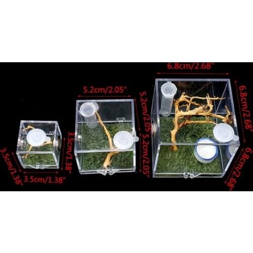 Spider Habitat Feeding Cage Nano Breeding Box for Spiders Grasshopper Cricket Scorpions Mantis Beetle and Small Reptile