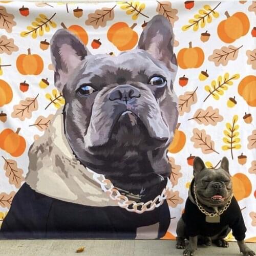 French Bulldog Pet Dog Clothes Winter Hoodie for Small Medium Dogs Jacket Yorkshire Schnauzer Pomeranian Coat Dropshipping LYC04